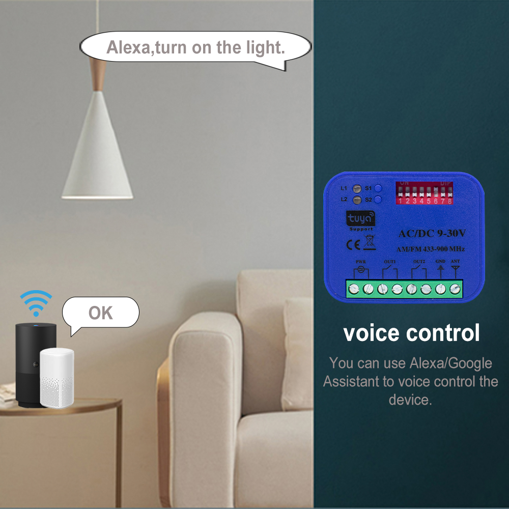 2CH 433-868MHz WiFi รีโมทคอนโท - Smart Garage Door Opener บทวิจารณ์และราคา